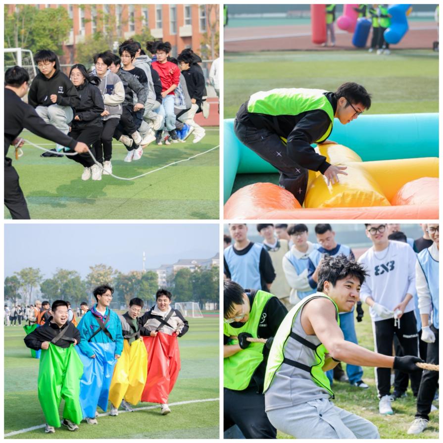 Collage_20241103_124334 Collage_20241103_124334